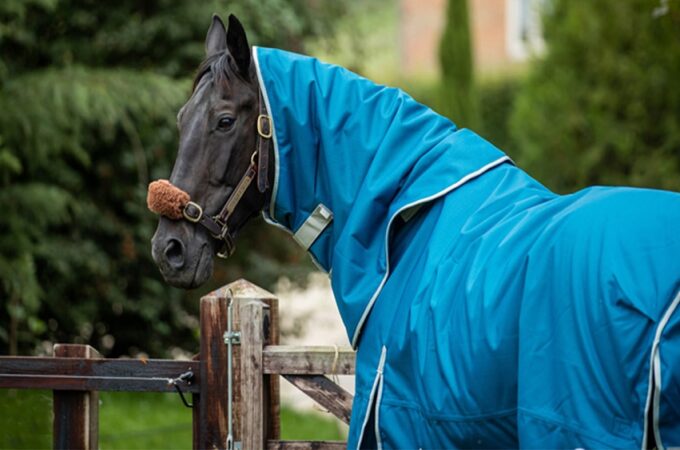Factors To Consider When Choosing A Rug For Your Horse
