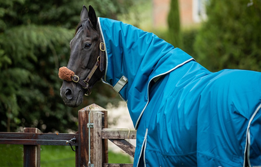 lightweight horse rug